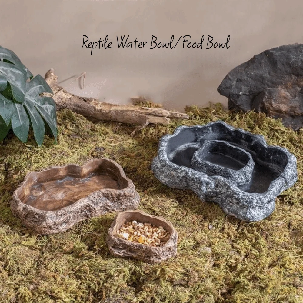 Anti-slip Climbing Pet Food Bowl Easy Clean Realistic Stone Reptile Drinking Water Feeding Tray Safe Durable Reptile Food Bowl