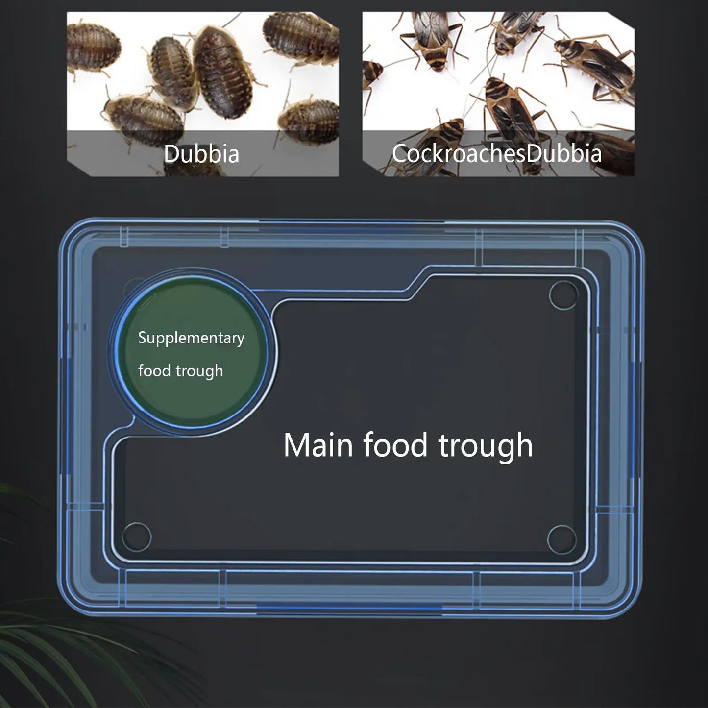 Reptile Escape Proof Feeding Dish Powder Reptile live food feeding bowl Transparent durable for Lizards chameleons iguanas