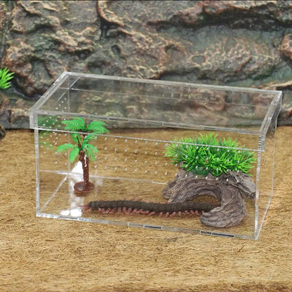 Plastic Reptile Vivarium Terrarium Easy to Observe with Reptile Terrarium Accessories for Small Animal Care