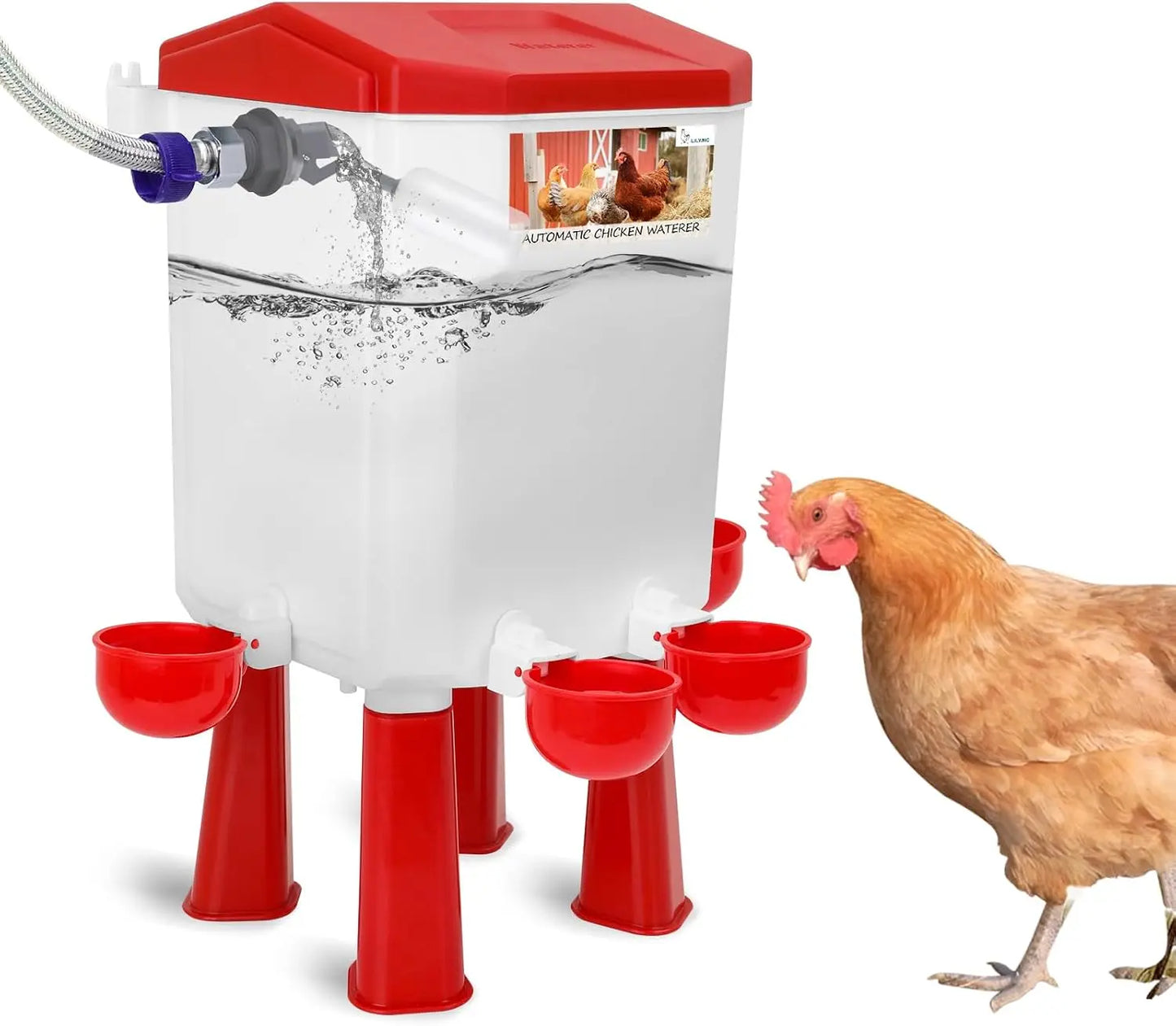 Chicken Drinking Bowl Drinking Water Quail Poultry Automatic Water Dispenser Duck and Pigeon Free Range Chicken Farm Supplies