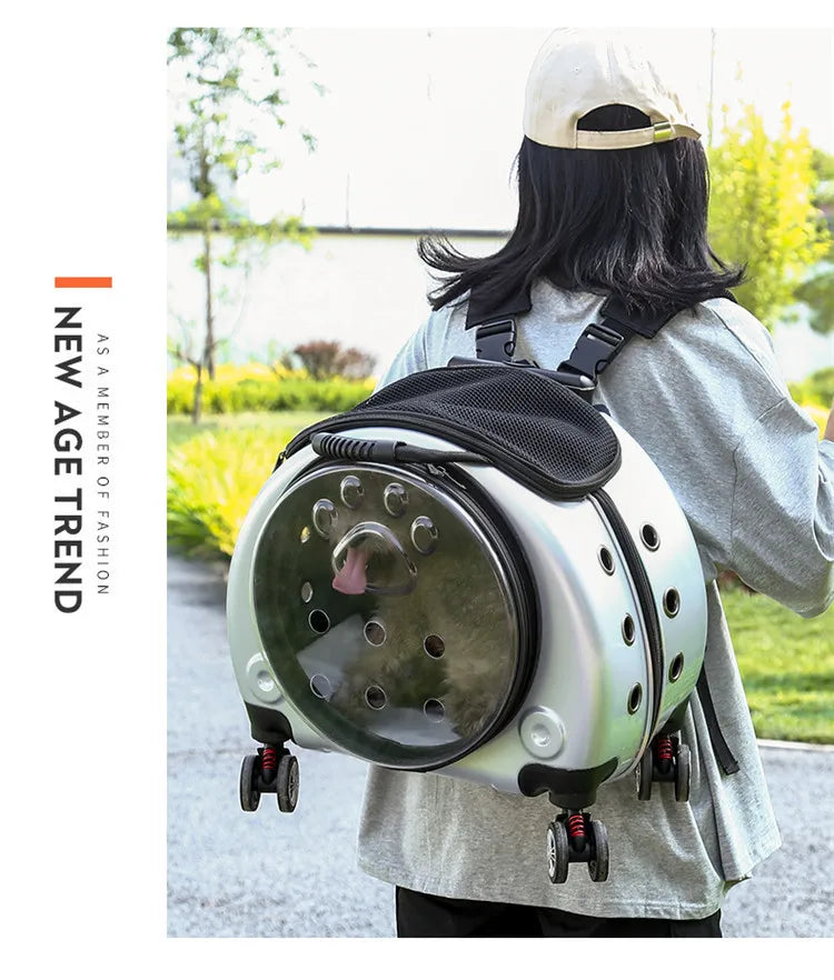 Pet Luggage, Transparent Space Capsule, Multi-purpose Backpack, Cat Bag, Large Capacity, Two Portable Small Dogs, Outdoor Bag