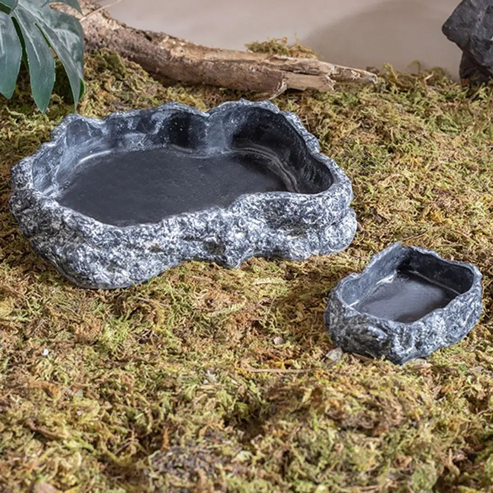 Anti-slip Climbing Pet Food Bowl Easy Clean Realistic Stone Reptile Drinking Water Feeding Tray Safe Durable Reptile Food Bowl