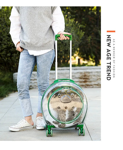 pet trolley case portable dog going out transparent trolley bag large capacity two cats
