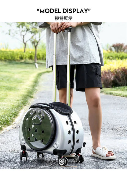 Pet Luggage, Transparent Space Capsule, Multi-purpose Backpack, Cat Bag, Large Capacity, Two Portable Small Dogs, Outdoor Bag