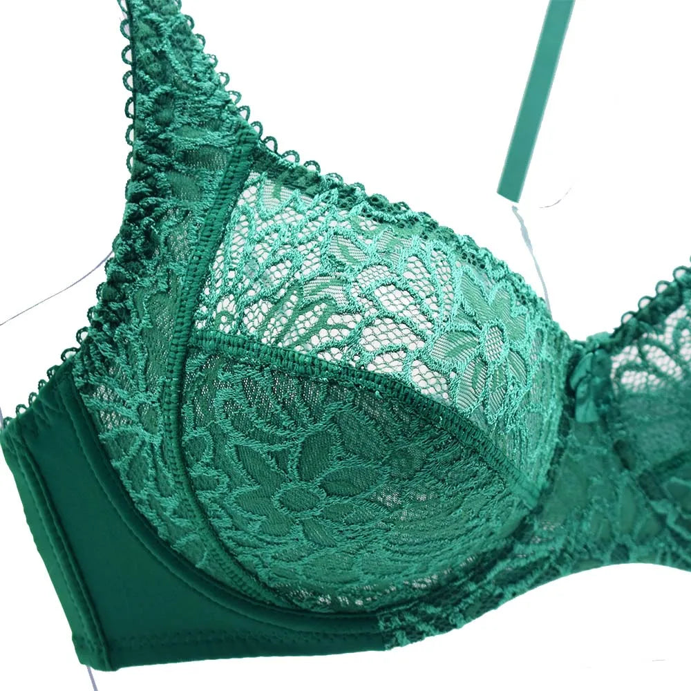 Plus Size Bras For Womens Lace Sexy Bra Perspective Underwire Female Lingerie BH Tops C D DD E F Cup