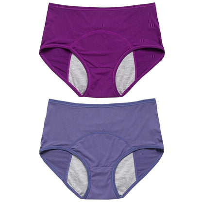 2pcs Women's Physiological Briefs Girl Menstrual Panties Ladies Period Leak Proof Panty Mid Waist Ice Silk Underwear