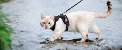 Adjustable Anti-Escape Small Cat Belt Kitten Harness Light Breathable Soft Pet Vest Wiring Harness Traction Belt Kitten Walking