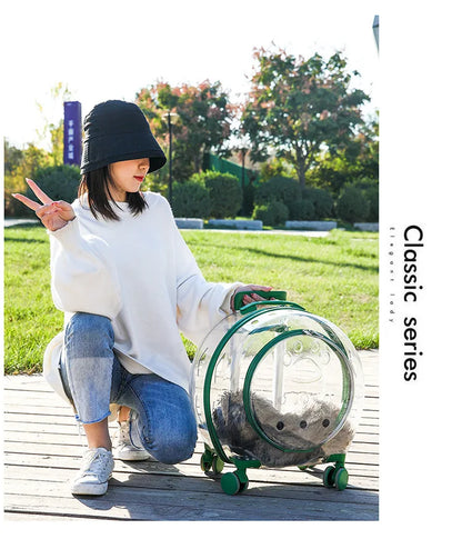 pet trolley case portable dog going out transparent trolley bag large capacity two cats