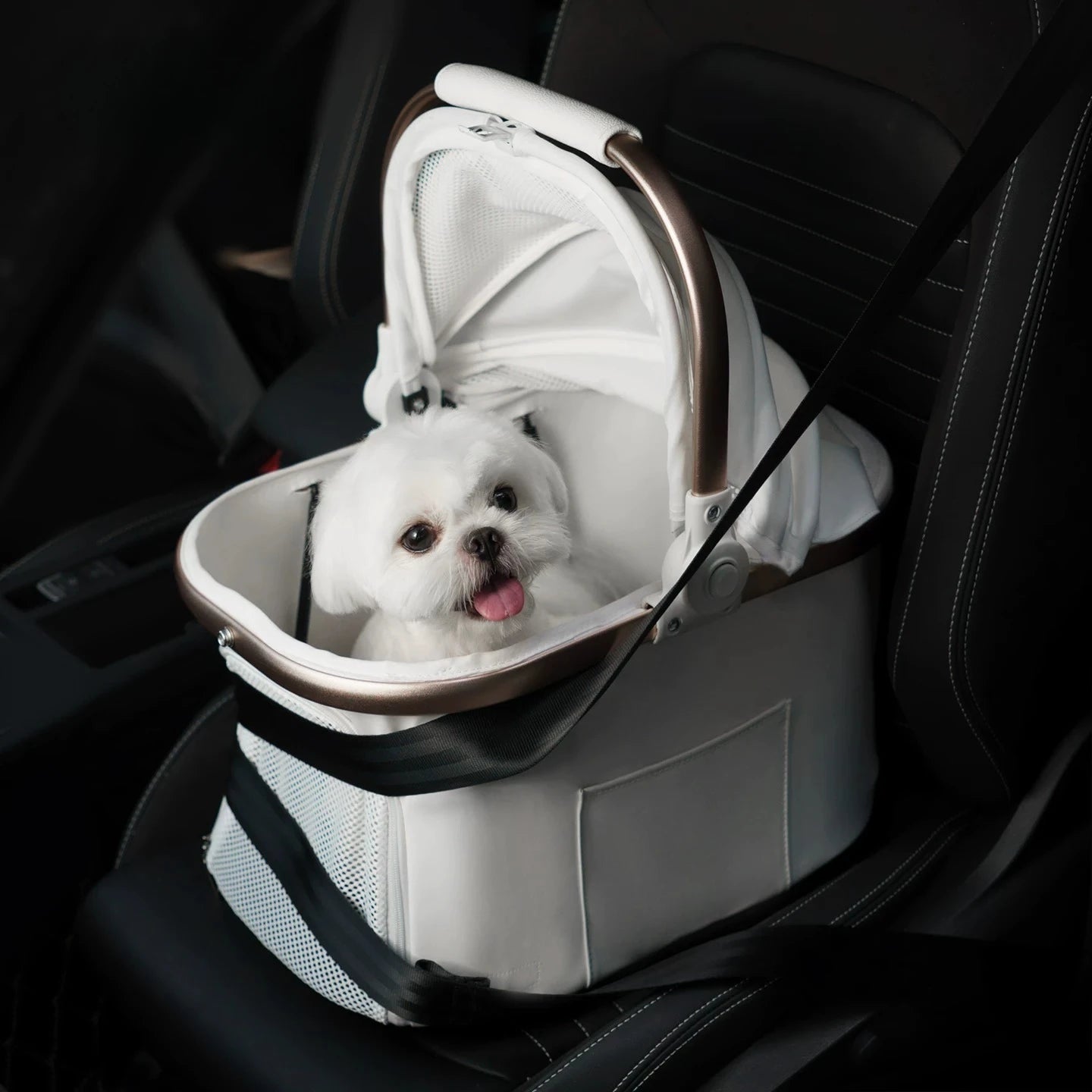 Foldable Detachable Pet Stroller Lightweight Travel Cart with Carry Basket for Dogs Cats Rabbits Outdoor Use