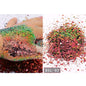 5g/BagGlitter Chameleon Nail Flakes Iridescent Chameleon Nail Powder Holographic Laser Colorful Nail Sequins 120 Colors Mix Size