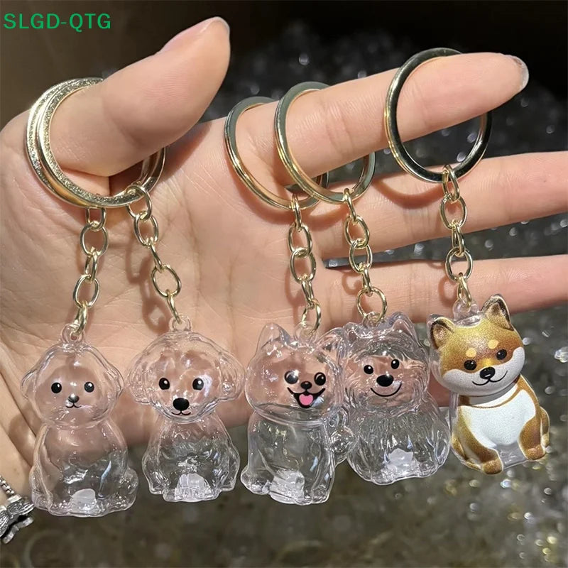 New Clear Puppy Hair Memorial Keepsake Capsule Pet's Dog Fur Container DIY Pendant Keychain Decor Pet Lovers Home Display Gifts