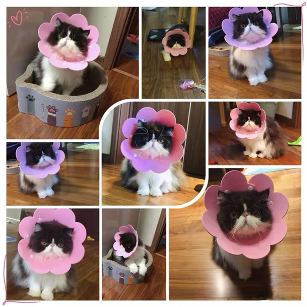 Pets Protective Collar EVA Soft Flower Shape Anti-lick Cats Dogs Wound Healing Protection Cover Anti-bite Animal Supplies