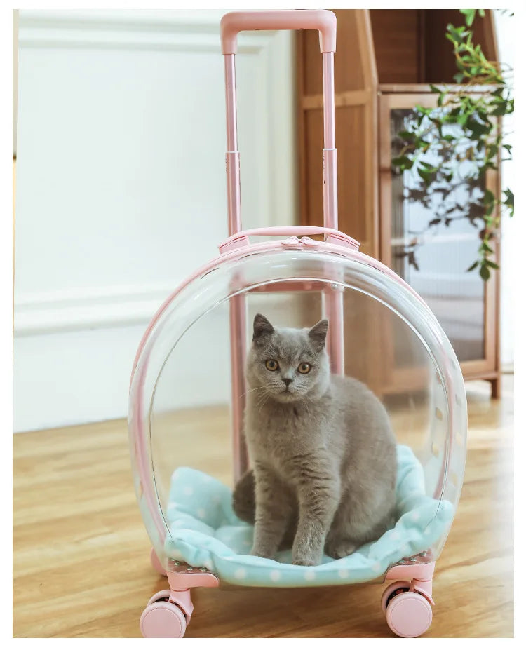 2026 Large Capacity Pet Suitcase for Two Cats Dogs Breathable Clear Wheel Portable Carry-on Luggage Pet Travel Bag