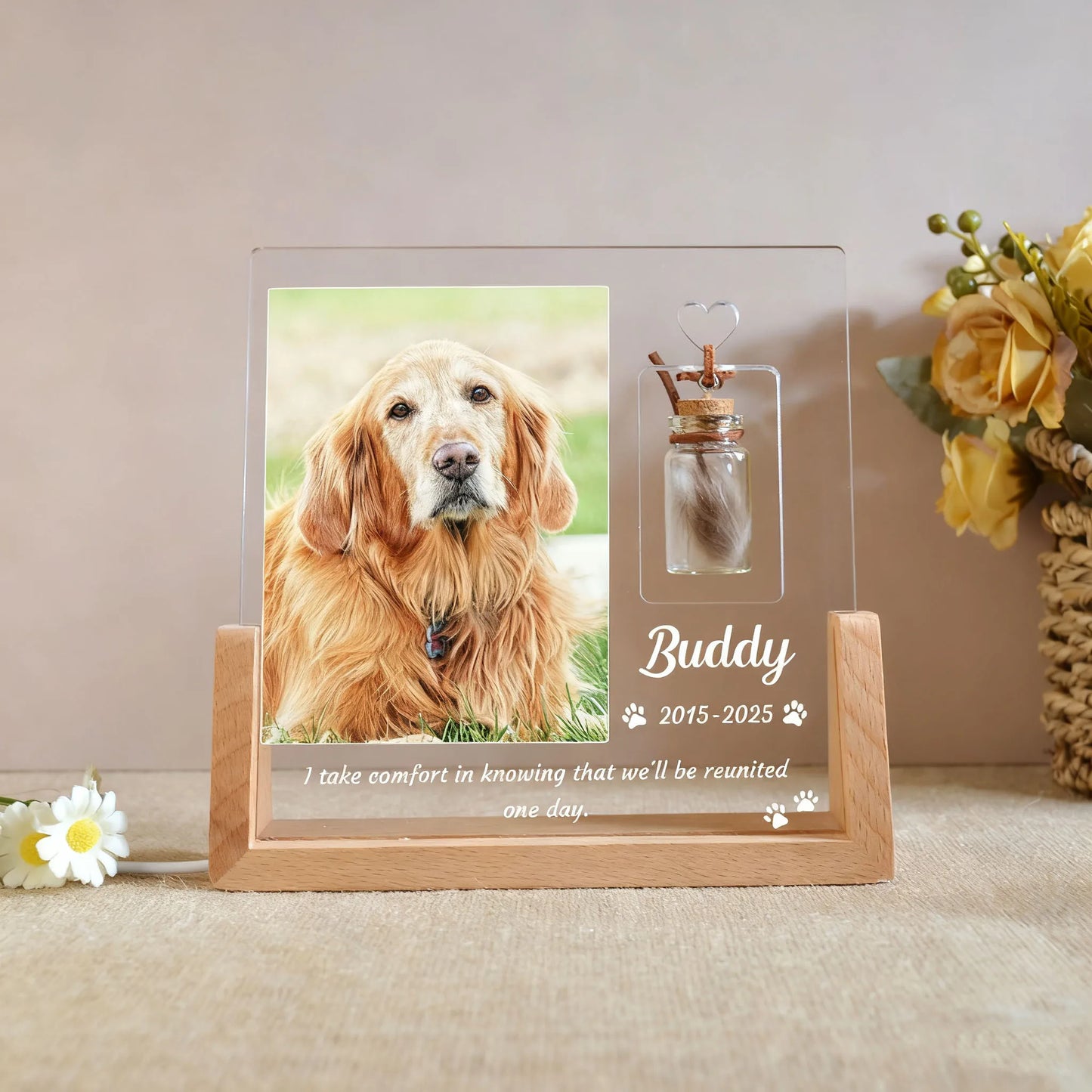 Pet Memorial Gift Custom Photo Night Light for Deceased Pets Personalized LED Pet Plaque Sympathy Gift for Dog Cat Loss with Sta