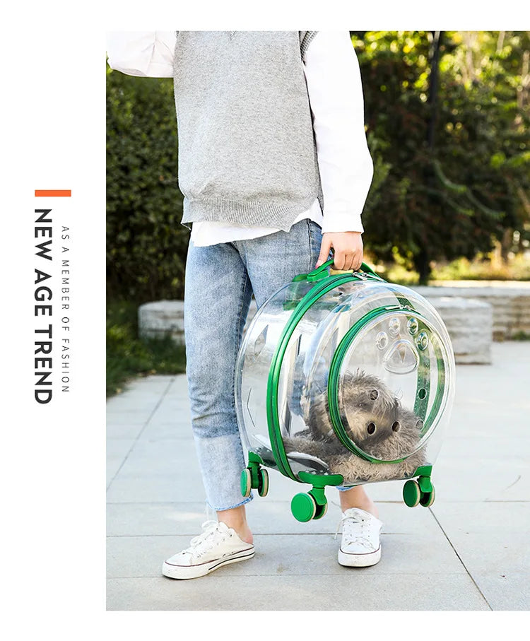 pet trolley case portable dog going out transparent trolley bag large capacity two cats