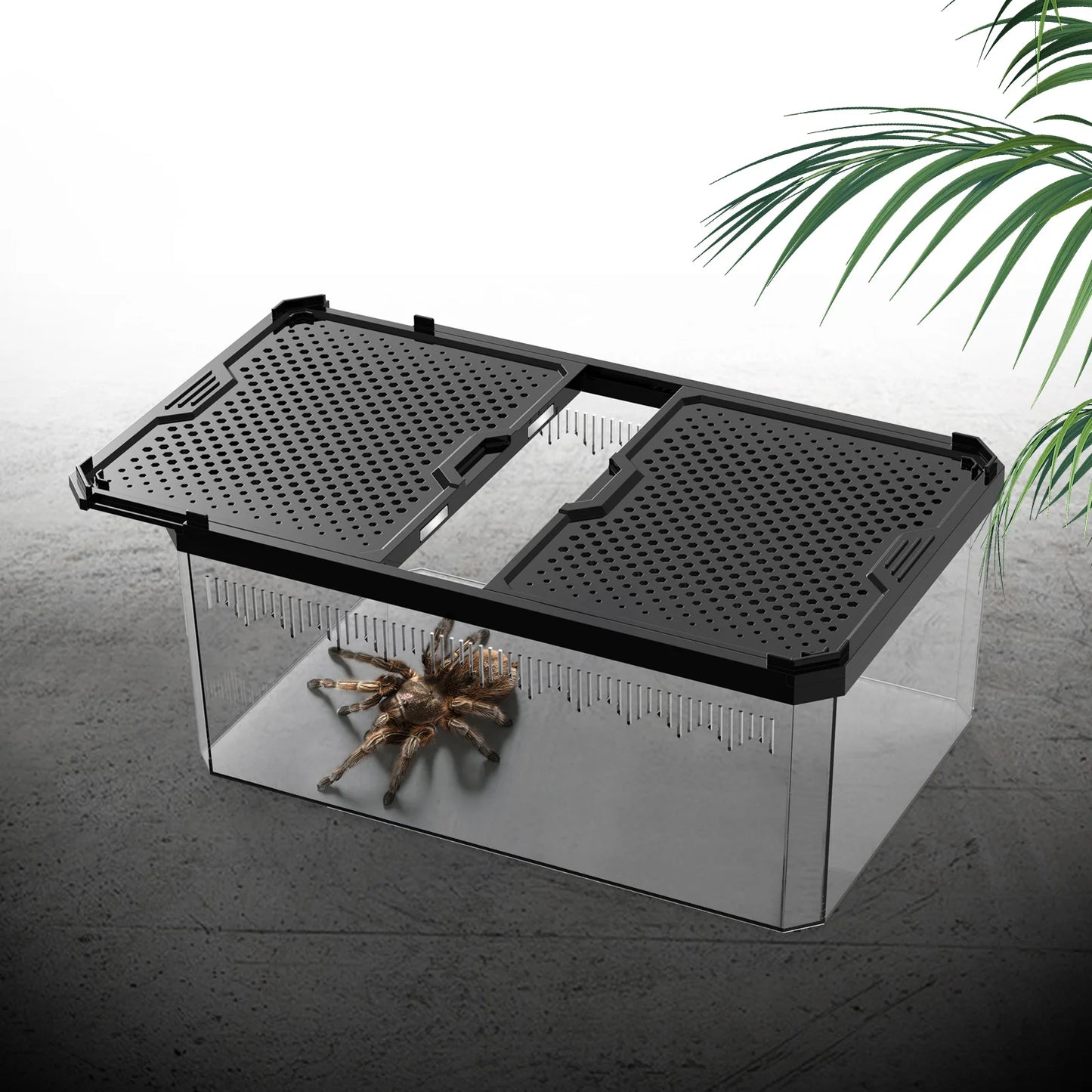 Magnetic Reptile Breeding Box with Sliding Cover Universal Design for Lizards Geckos Horned Frogs Snakes And Spiders