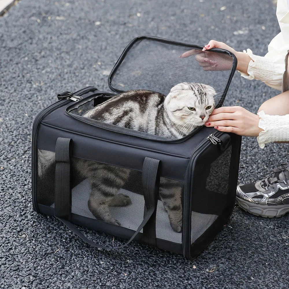Large Capacity Mesh Breathable Pet Bag Outdoor Portable Cat Backpack Breathable Mesh Pet Travel Carrier Cats Daily Outdoor Use