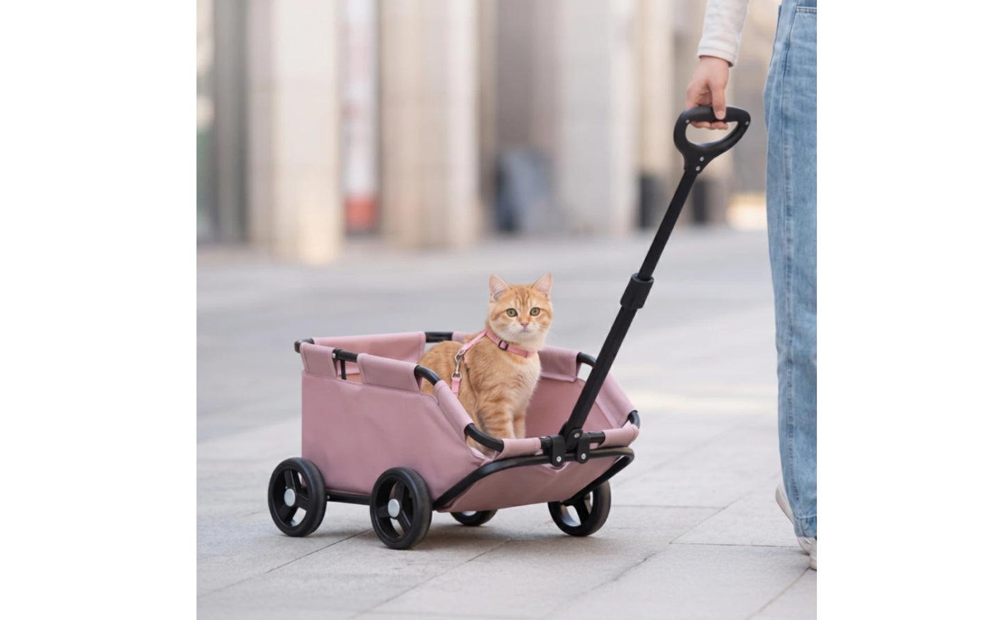 Pet Stroller with Telescopic Handle Folding Foldable Pet Stroller Sturdy Sturdy for Small Dogs, Outdoor Walks, Travel
