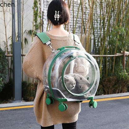 pet trolley case portable dog going out transparent trolley bag large capacity two cats