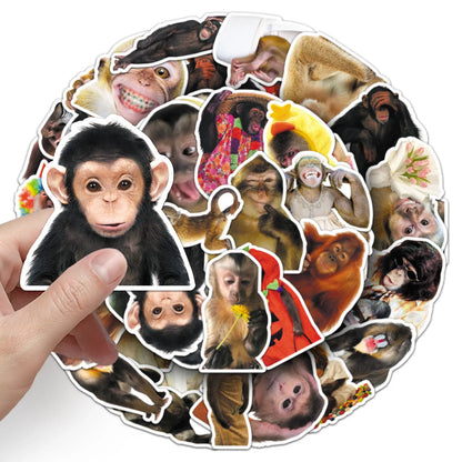 50Pcs Crazy Funny Monkey & Orangutan Doodle Stickers Waterproof Decals for Stationery Notebook Helmet Motorcycle Suitcase Fridge