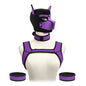 Pet Play Restraint Lingerie Set with Unisex Upper Body Harness Dog Hood Choker for Couple BDSM Fantasy Game Sex Toys