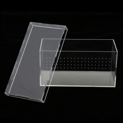 Plastic Reptile Vivarium Terrarium Easy to Observe with Reptile Terrarium Accessories for Small Animal Care