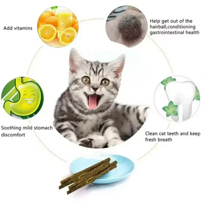 Pet Cat Peppermint Teeth Teeth Teeth Cleaning Bite Stick Teasing Cat Stick Cat Bite Resistant Soothing Snack
