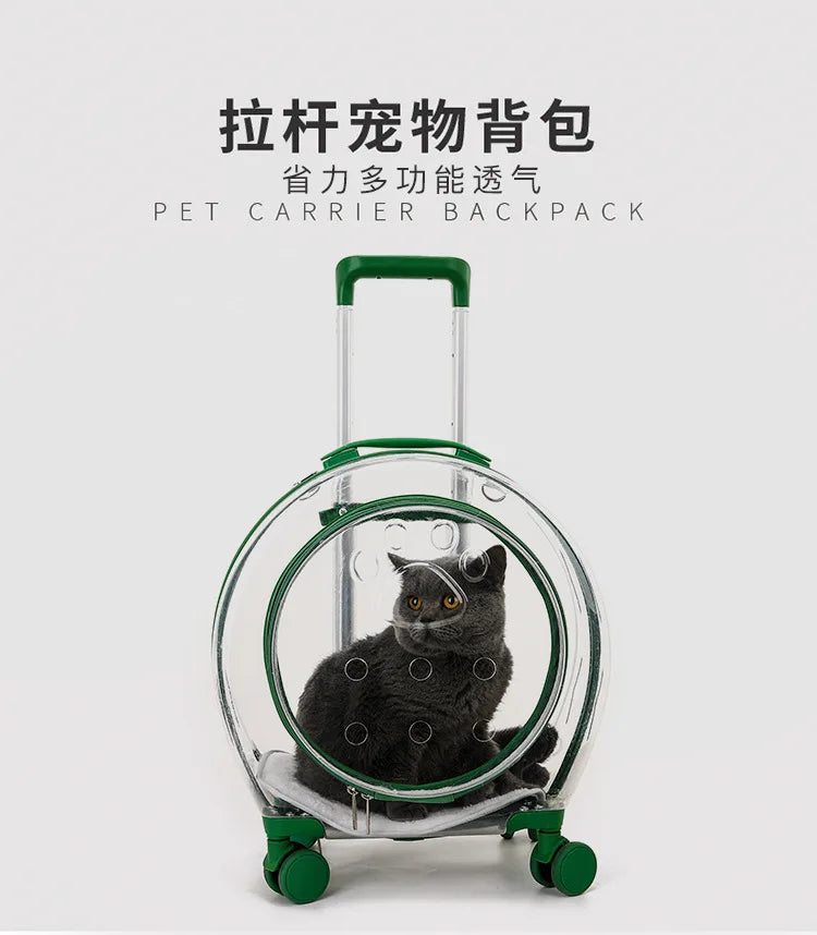 pet trolley case portable dog going out transparent trolley bag large capacity two cats