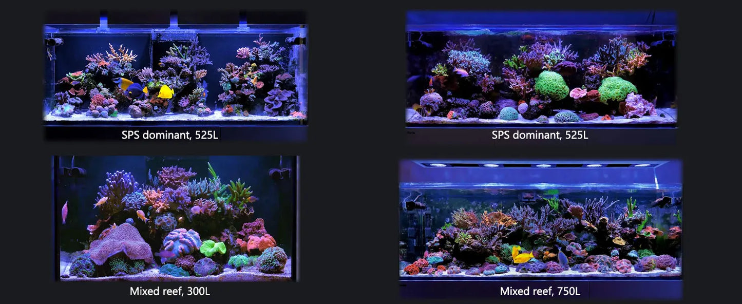 PopBloom WiFi Aquarium LED Light RL90/RL115, Professional Reef Aquarium Lamp Full Spectrum for Reef Coral SPS/LPS Fish Tank