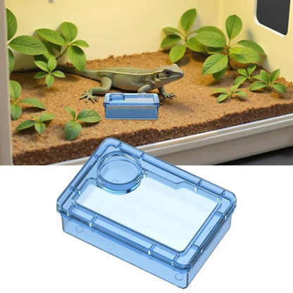 Reptile Lizards Geckos Feeding Bowls Prevent Tenebrio Molitor and Blaptica Dubia Anti Overturning Trough Feeder Transparent
