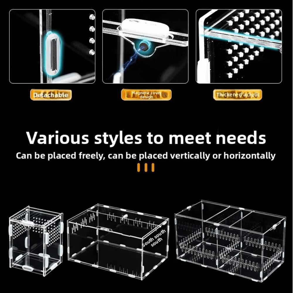 Acrylic Jumping Spider Enclosure 2 Doors Transparent Reptile Feeding Cage Ventilated Design Escape-proof Reptile Habitat