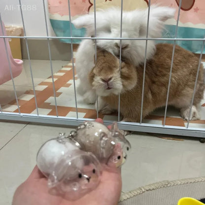 Cartoon Pet Hair Memorial Keyring - Cute Animal Rabbit Fur Organizer Keychain Transparent Storage Box Bag Pendant Pet Souvenirs