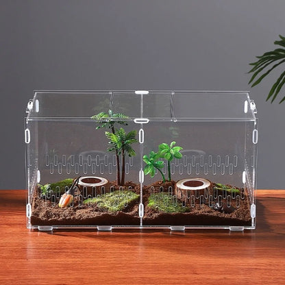 Acrylic Jumping Spider Enclosure 2 Doors Transparent Small Pet Terrarium Escape-proof Ventilated Design Reptile Habitat