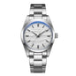 ADDIESDIVE Hot Sale AD2030 Without LOGO Watch Stainless Steel 100M Waterproof Quartz Watches 3D Sand Dial Men's Wristwatch Dress