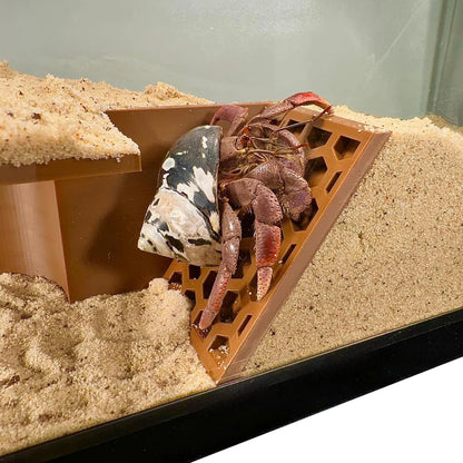 Hermit Crab Habitat Tunnel Cave Hidden Corner Environment Decoration Made of Eco Friendly Resin for Reptile Tank Setup