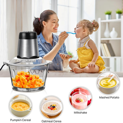 Meat Grinder 300W Electric Multi Blender Mixer with 2L Glass Container,2 Speed Settings,4 Stainless Steel Blades Easy to Clean