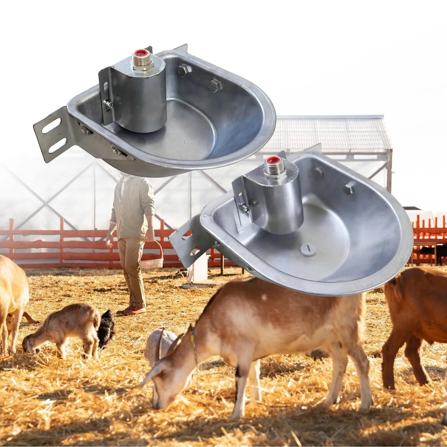 Stainless Steel Automatic Waterer Bowl for Sheep Cattle Horses Goats Dog Drinking Fountain Farm Animal Supply