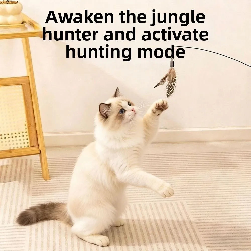 Wooden Handle Spring Teasing Cat Stick Feather Simulation Fishing Rod Cat Teaser Stick Interactive Replaceable Bell Squeaky Cat