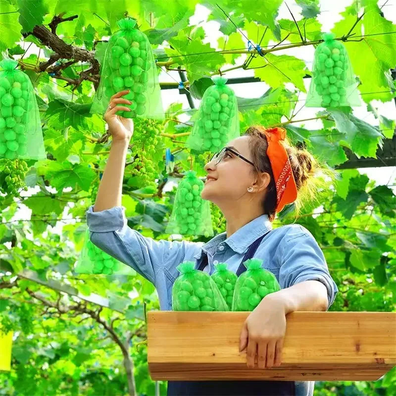 Reusable Drawstring Plant Protection Net Bags Garden Pest Proof Cover For Fruit Trees Vegetables Grapes Strawberries Berries