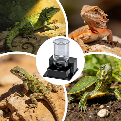 Reptile Water Dispenser Automatic Detachable Anti Drowning And Anti Evaporation Automatic Water Dispenser For Geckos Lizards