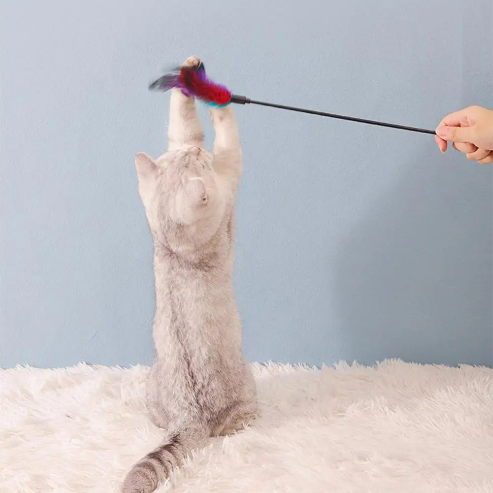 Long Pole Feather Cat Teaser Toy Colorful Interactive Kitten Wand Stick Bite-Resistant Pet Teasing Training Supplies