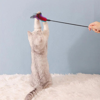 Long Pole Feather Cat Teaser Toy Colorful Interactive Kitten Wand Stick Bite-Resistant Pet Teasing Training Supplies