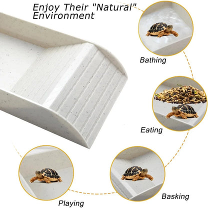 Reptile Bathing Pool Reptile Feeding Dish Water Bowl with Ramp Aquarium Ornament for Snake, Turtle, Bearded Dragon, Lizard Bath