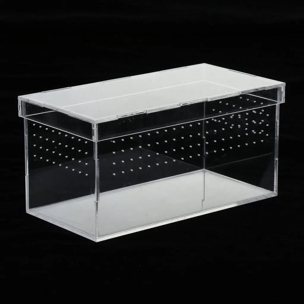 Plastic Reptile Vivarium Terrarium Easy to Observe with Reptile Terrarium Accessories for Small Animal Care