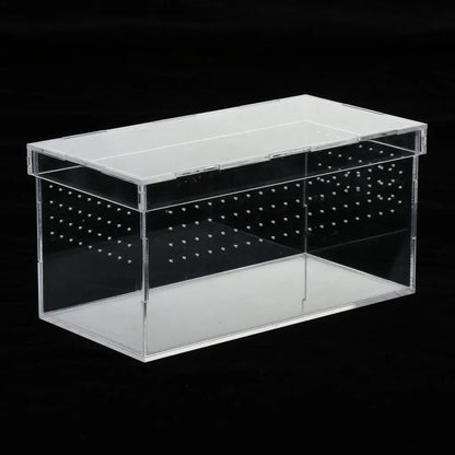Plastic Reptile Vivarium Terrarium Easy to Observe with Reptile Terrarium Accessories for Small Animal Care
