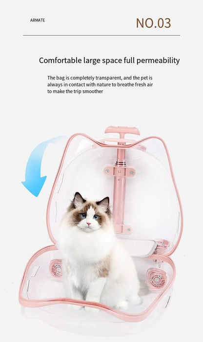 Pet Trolley Case, Fully Transparent Cat Case, Breathable Space Cabin Cat Bag, Outdoor Bag, Portable Small Dog Bag