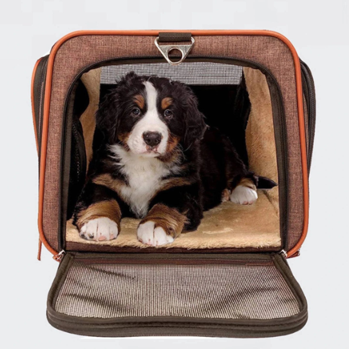 Rolling Mesh Pet Carrier Soft-sided Animal Carrier Breathable Mesh Windows Telescoping Handle for Convenient Transport