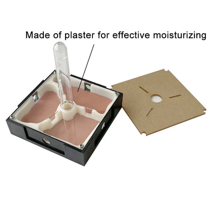 Acrylic Ant Farm Unlimited Expansion Ant Nest with Feeding Area Gypsum Ant House Pet Anthill Workshop Moisturizing Water Tower