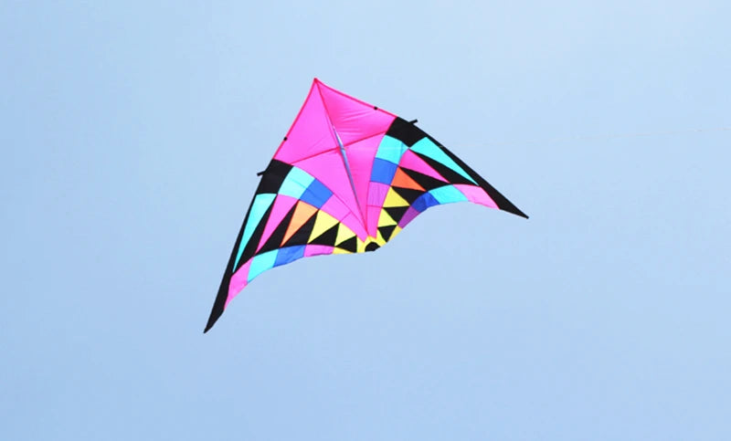 Free shipping large delta kites professional for adults kites flying toys sport kites windsurfing show kites fried flight kites