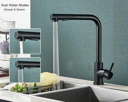 Rozin Flexible Gourmet Kitchen Faucet Black Pull Out 2 Ways Nozzle Faucets 360° Rotation Hot Cold Water Sink Mixer Tap SUS304